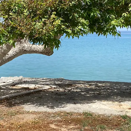Sea Breeze Studios Ξυλόκαστρο Εξωτερικό φωτογραφία